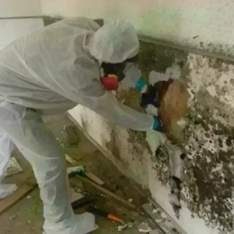 Mold Remediation and Removal in Scarborough, ME